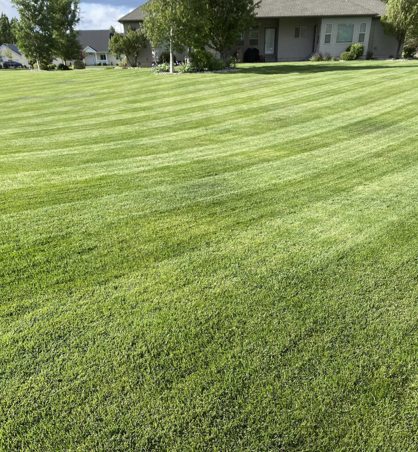 Precision Mowing